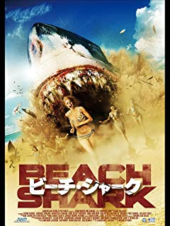 ビーチシャーク 画像